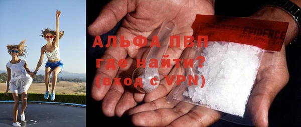 ALPHA PVP Ростов