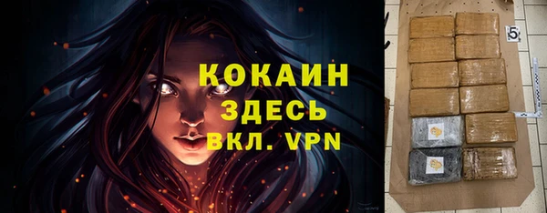 дживик Белокуриха