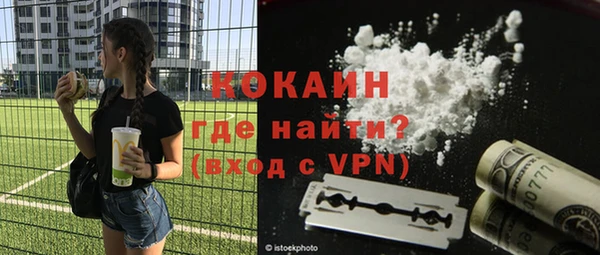 дживик Белокуриха